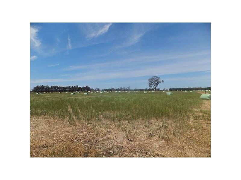 Tatura VIC 3616