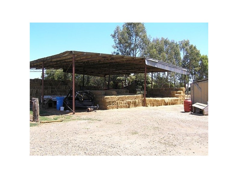 Tatura VIC 3616