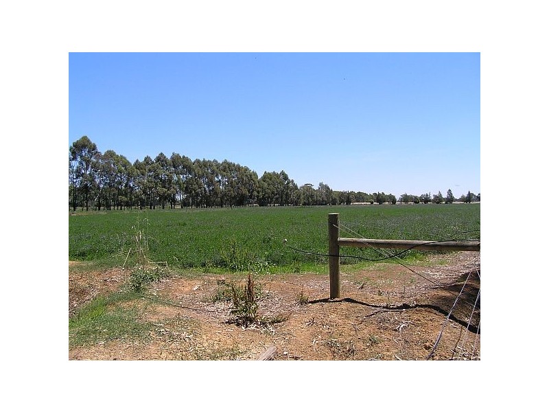 Tatura VIC 3616