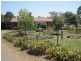 Harston VIC 3616