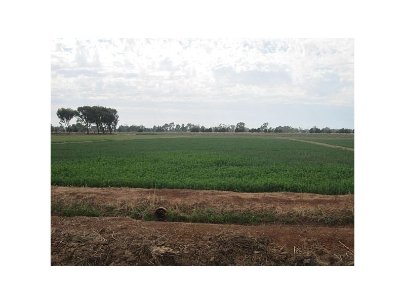 Kyabram VIC 3620
