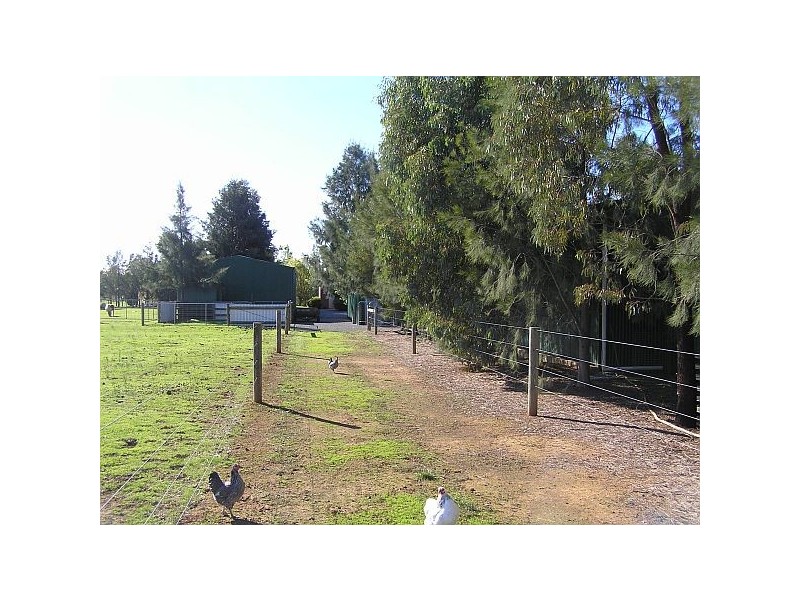 Tatura VIC 3616