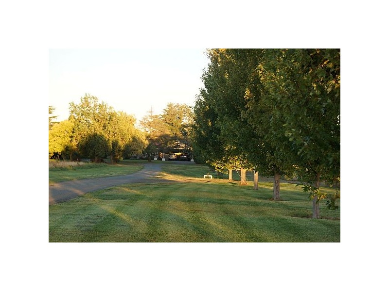 Tatura VIC 3616