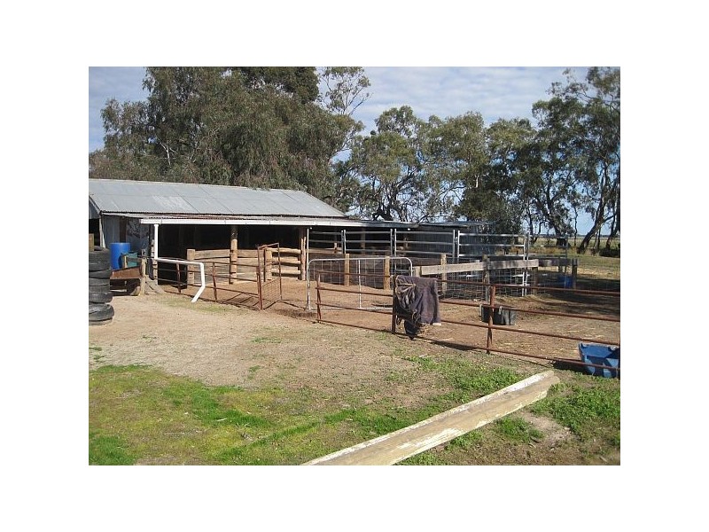 Echuca VIC 3564