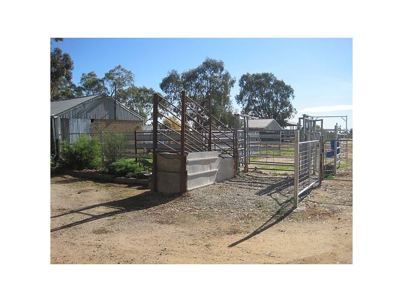 Echuca VIC 3564
