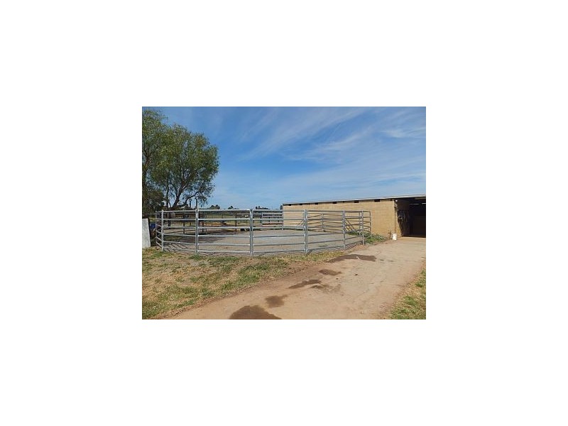 52 Nash Horse Property Road, Tatura VIC 3616