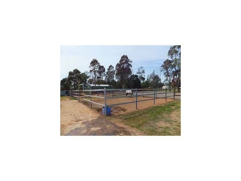 52 Nash Horse Property Road, Tatura VIC 3616