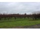 119 Lancaster Road, Kyabram VIC 3620