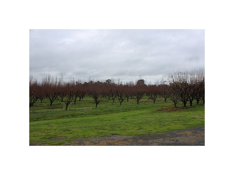 119 Lancaster Road, Kyabram VIC 3620