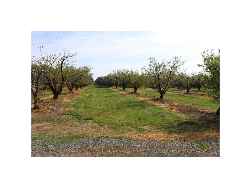 74 Howards Lane, Kyabram VIC 3620