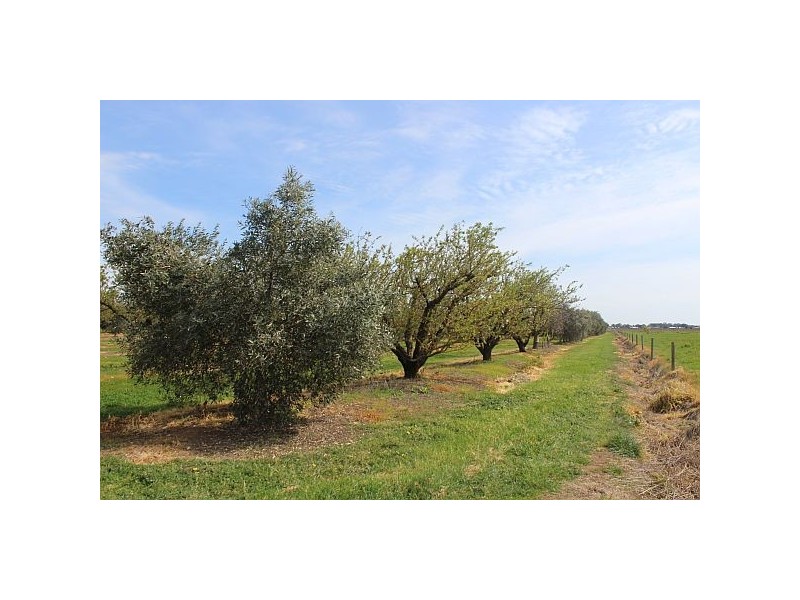 74 Howards Lane, Kyabram VIC 3620