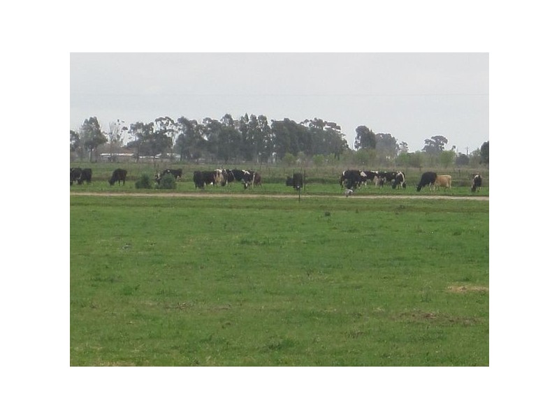 2205 McKenzie Road, Tongala VIC 3621