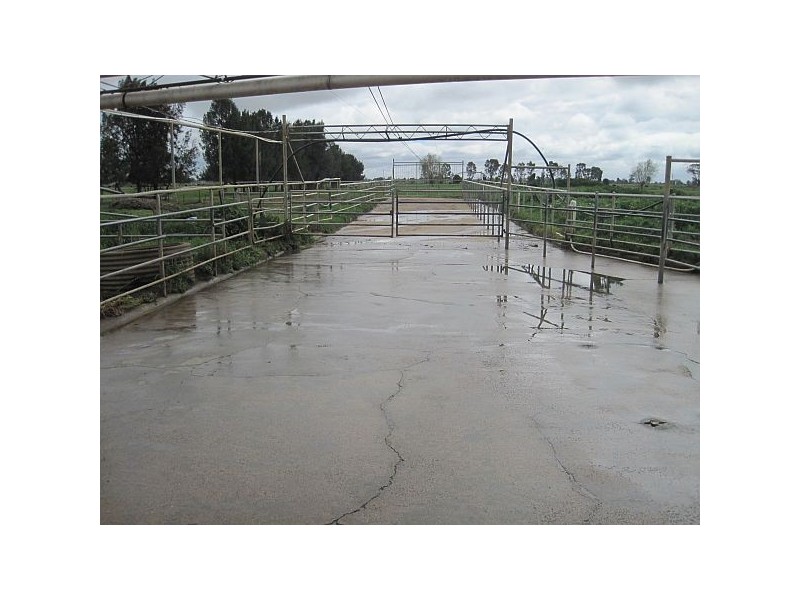 2205 McKenzie Road, Tongala VIC 3621