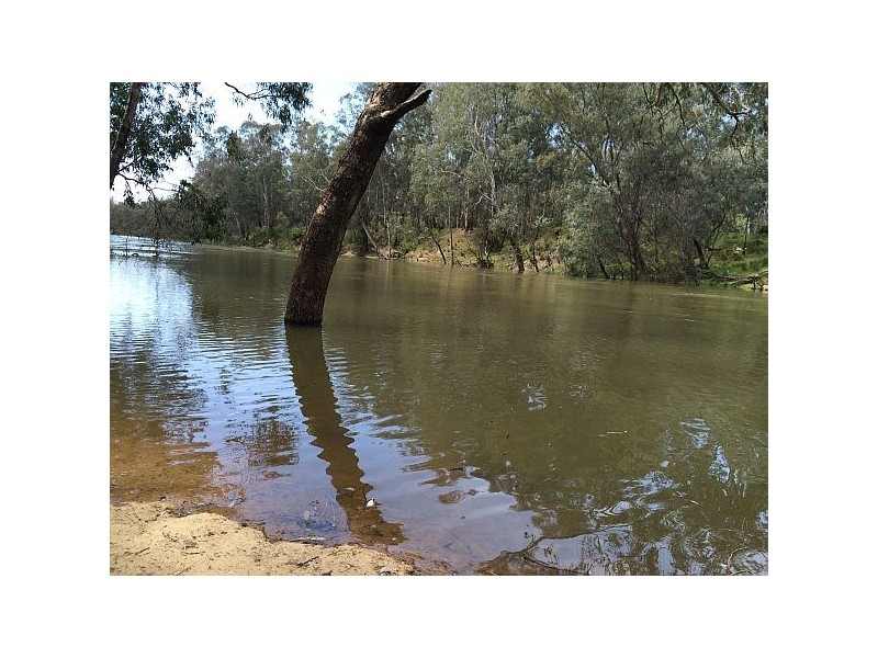 85 Old Weir Road, Murchison VIC 3610