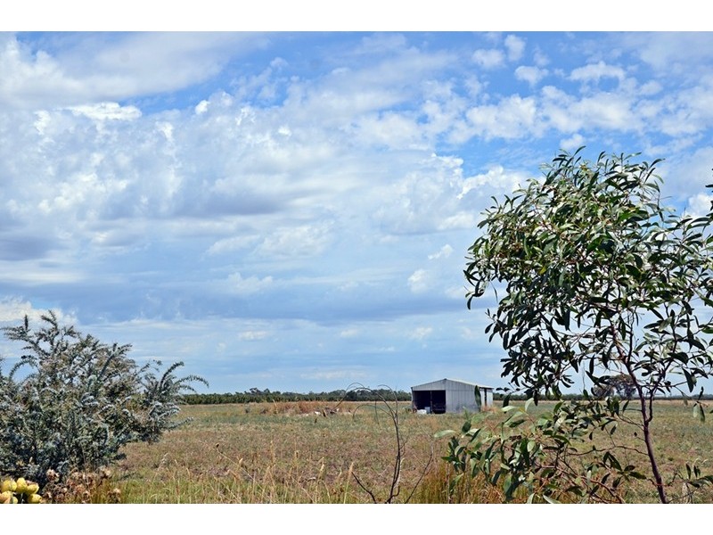 202 Central Avenue, Shepparton East VIC 3631