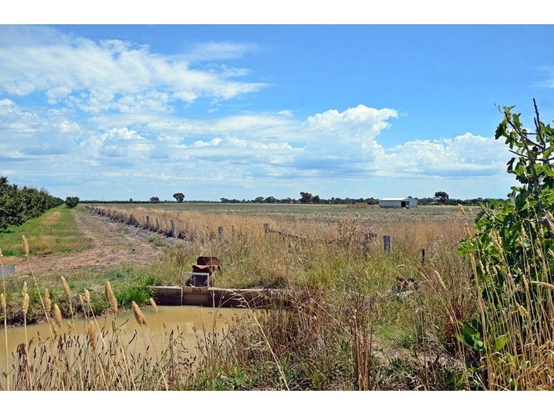 202 Central Avenue, Shepparton East VIC 3631