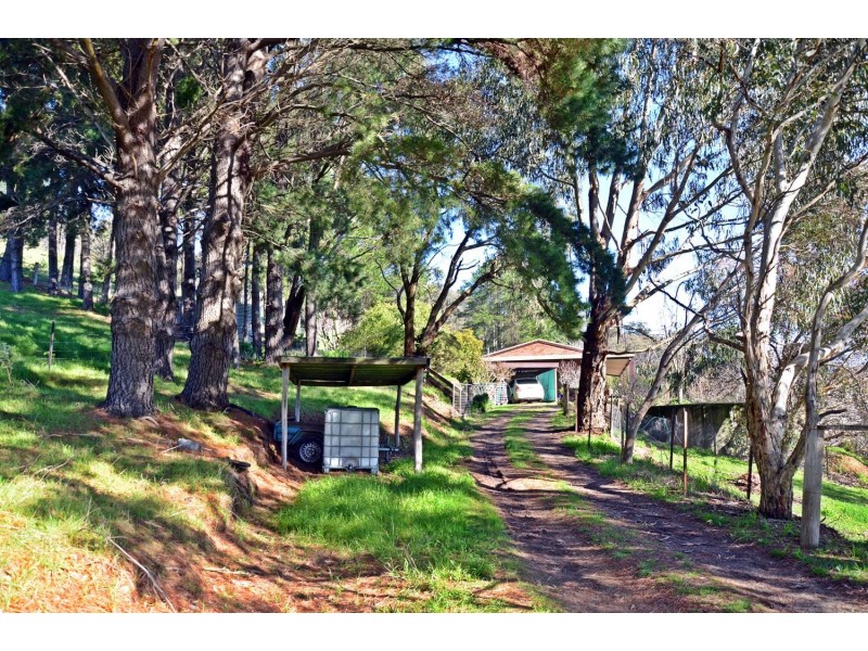 803 Killeens Hill Road, Euroa VIC 3666