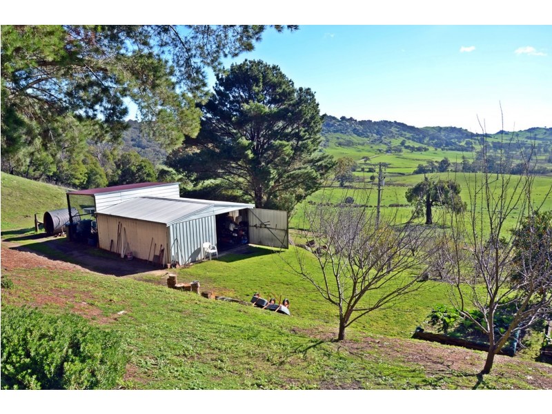 803 Killeens Hill Road, Euroa VIC 3666
