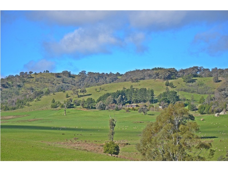 803 Killeens Hill Road, Euroa VIC 3666