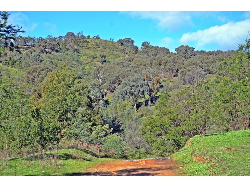 803 Killeens Hill Road, Euroa VIC 3666