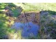 803 Killeens Hill Road, Euroa VIC 3666