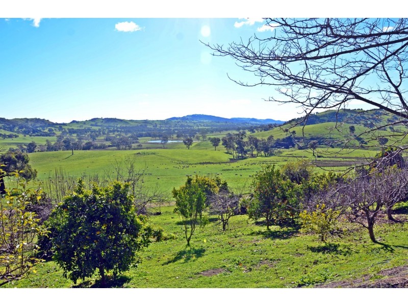 803 Killeens Hill Road, Euroa VIC 3666