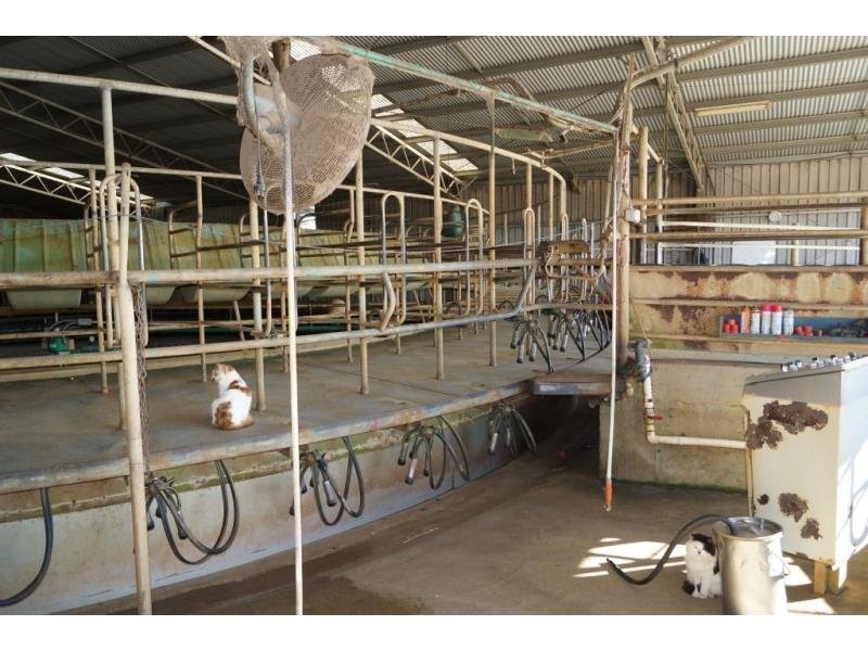 314 Stewart Road, Tatura VIC 3616