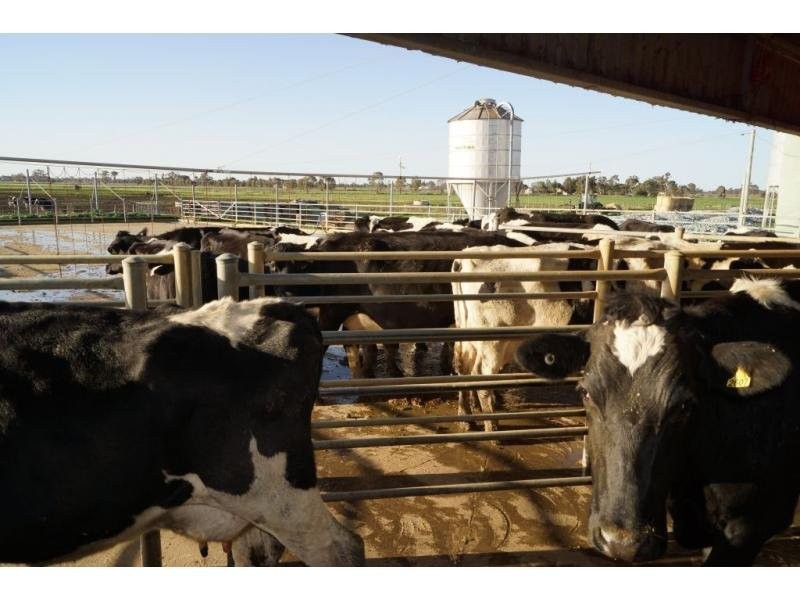 314 Stewart Road, Tatura VIC 3616