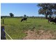 440 Ford Road, Byrneside VIC 3617