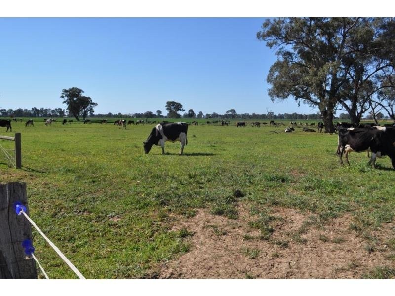 440 Ford Road, Byrneside VIC 3617