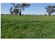 440 Ford Road, Byrneside VIC 3617