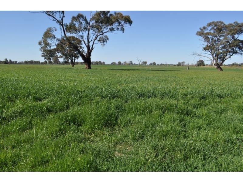 440 Ford Road, Byrneside VIC 3617