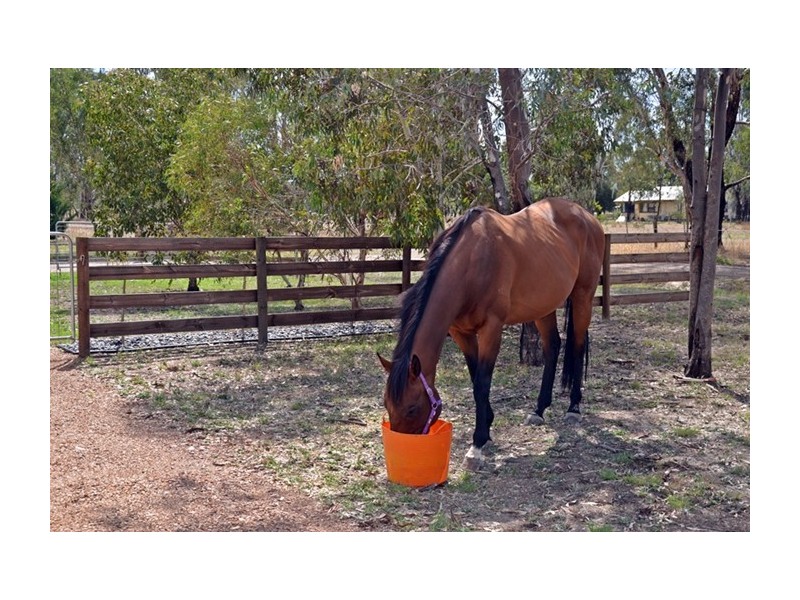 309 Steele Road, Benalla VIC 3672