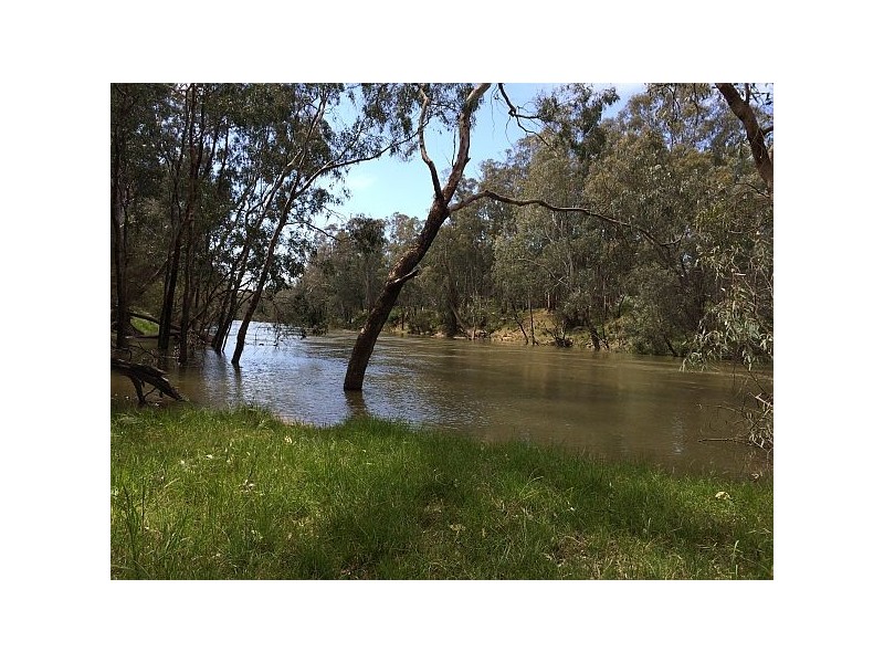 85 Old Weir Road, Murchison East VIC 3610