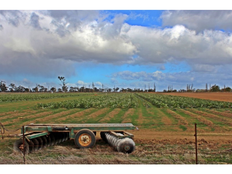 125 Heath Road, Tatura VIC 3616