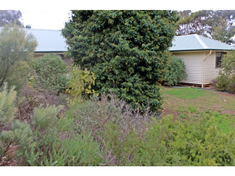 Tatura VIC 3616