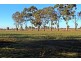 Tatura VIC 3616