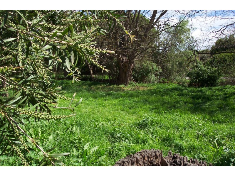 157 Bosse Road, Tongala VIC 3621