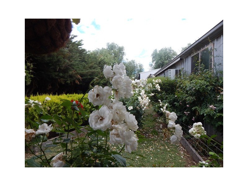 157 Bosse Road, Tongala VIC 3621