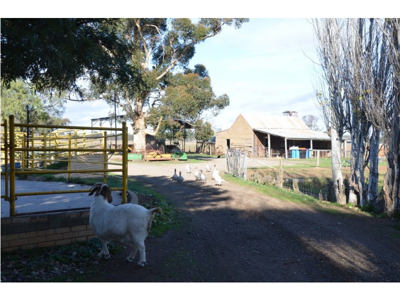 220 River Road, Kialla VIC 3631