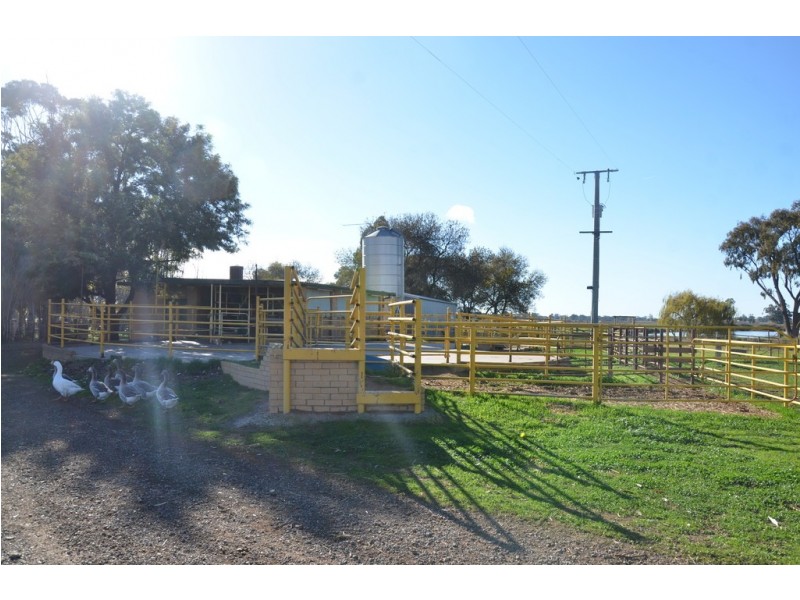 220 River Road, Kialla VIC 3631