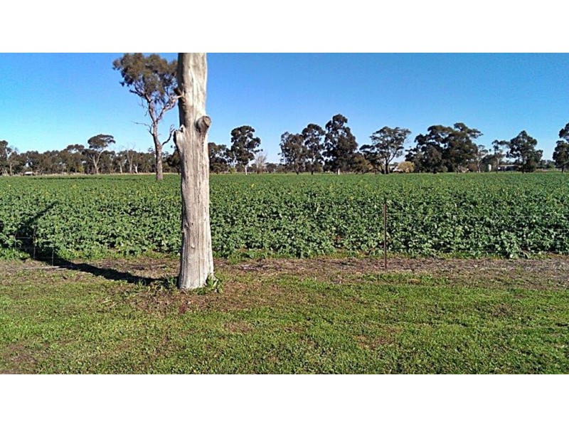 800 Cooma Road, Cooma VIC 3616