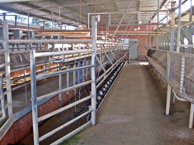 86 Goddard Road, Kyabram VIC 3620