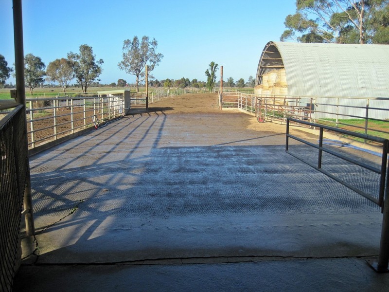 86 Goddard Road, Kyabram VIC 3620