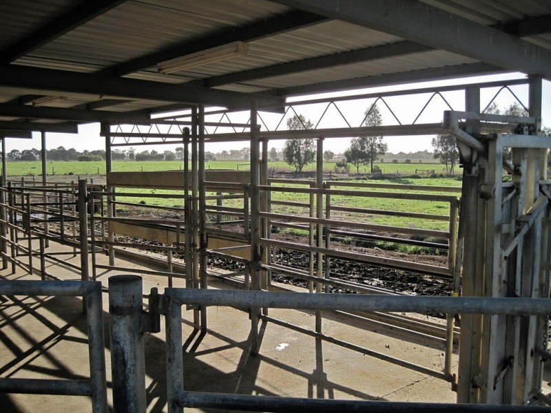 86 Goddard Road, Kyabram VIC 3620