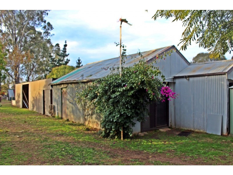 19 Hogan St, Tatura VIC 3616