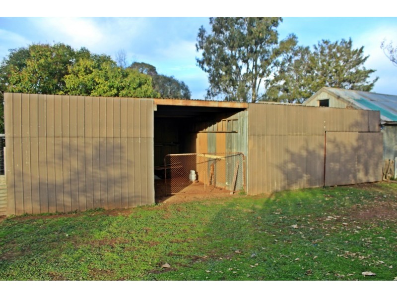 19 Hogan St, Tatura VIC 3616