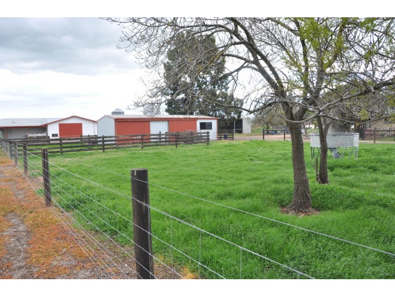 59 Lane Rd, Katandra VIC 3634