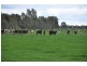 59 Lane Rd, Katandra VIC 3634