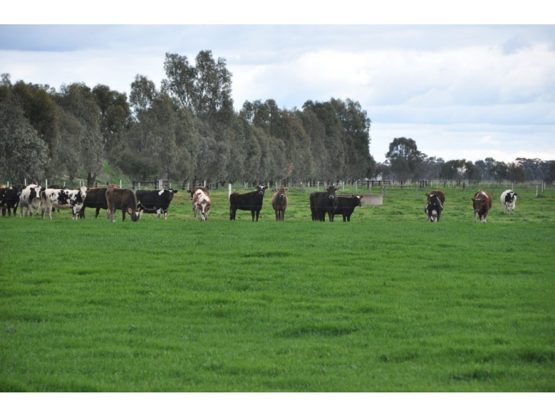 59 Lane Rd, Katandra VIC 3634